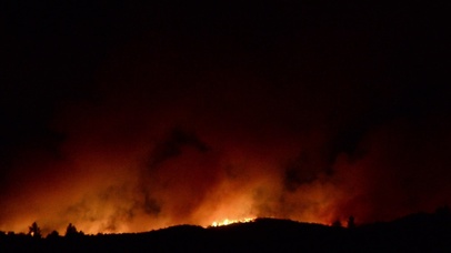 4K 高清 林间大火