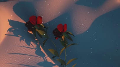 玫瑰花