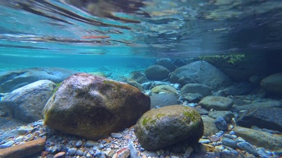 清澈的水底世界