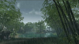 电影级雨林
