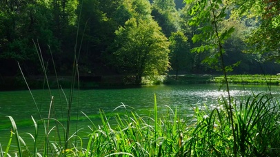护眼青山绿水湖畔