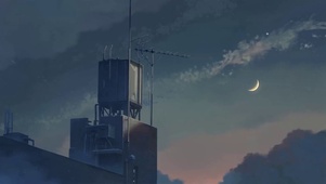 夏天的夜