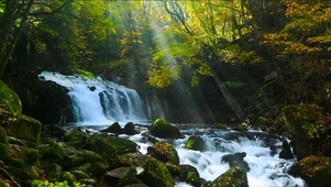 秋天的山林流水