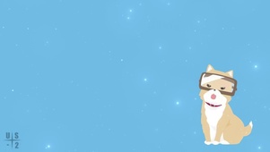 傲娇小黄犬