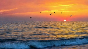 海上落日