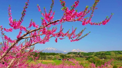 唯美世外桃源 4K