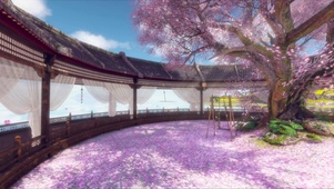 古风庭院樱花