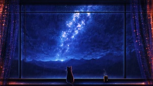 星空雨夜窗台小猫