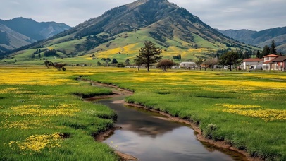 清新绿色黄花草原