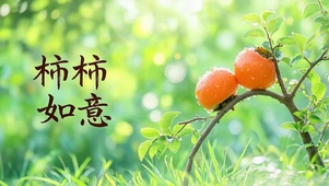 柿柿如意