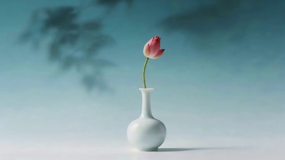 小清新荷花