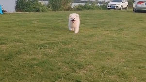奔向你