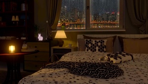 夜晚卧室窗户雨