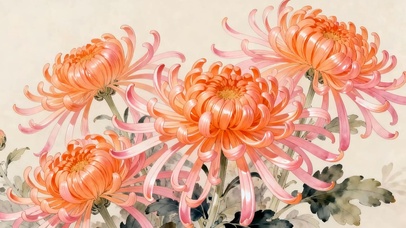 护眼小清新