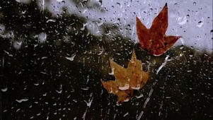 雨水在玻璃上滑落