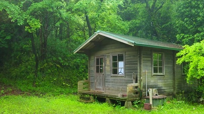 雨天绿林木屋