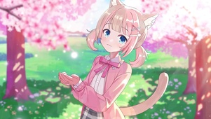 樱花飘落
