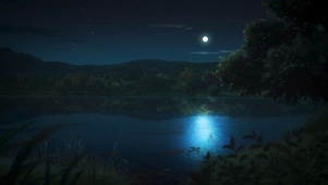 夏夜 池塘边
