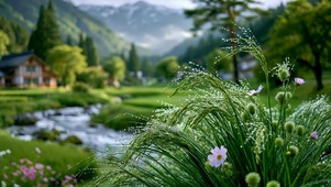 雨后乡野溪流护眼风景