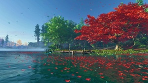 湖面花