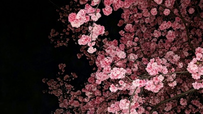 治愈护眼碎花桌面