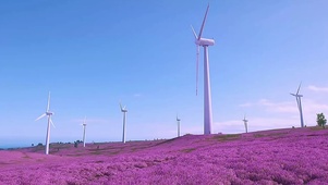 风车薰衣草花海