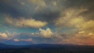 非洲原野
