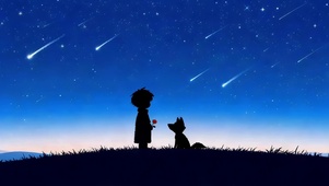 浪漫许愿流星雨