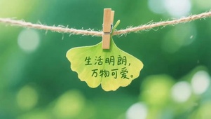 生活明朗万物可爱