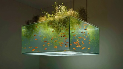 4k立体光影游鱼