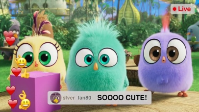 直播中的愤怒小鸟