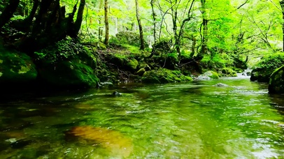 护眼绿林流水