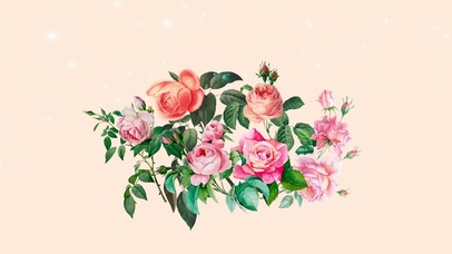 玫瑰花