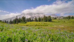 雷尼尔山