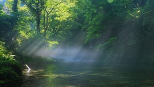 早晨山涧溪流