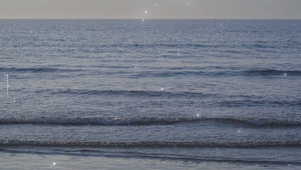 大海
