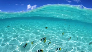 海底