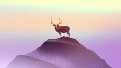 4K 高清 清晨山巅的一头野牛