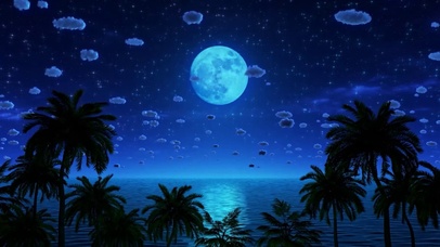 舒适唯美星月夜