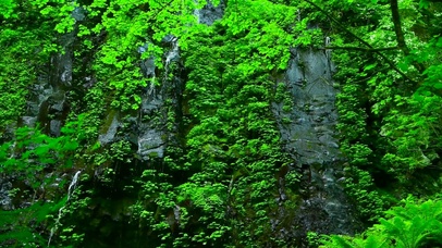 夏日护眼石壁溪流