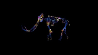 【视觉系】行走的彩虹猛犸象骨骼