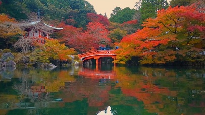 4K 高清 日本京都醍醐寺