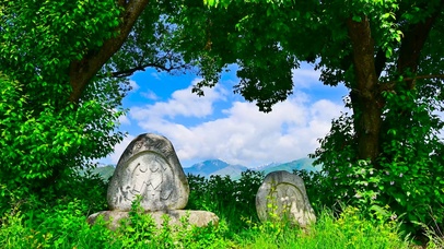 夏日护眼蓝天绿树石头