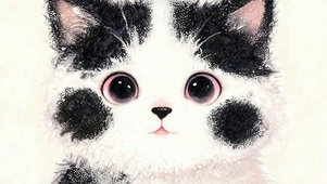 猫咪