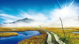 4k湿地风景
