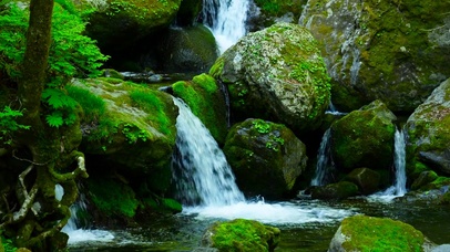 夏日清凉护眼溪水