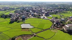 田园风光