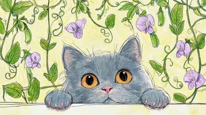 可爱小灰猫