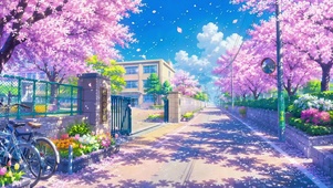 护眼校门前的樱花小路