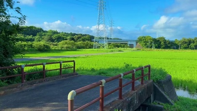 夏天乡村田野